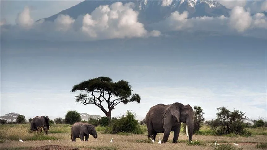 thumbs b c dbed94a090c50e71e2537f635415b15d