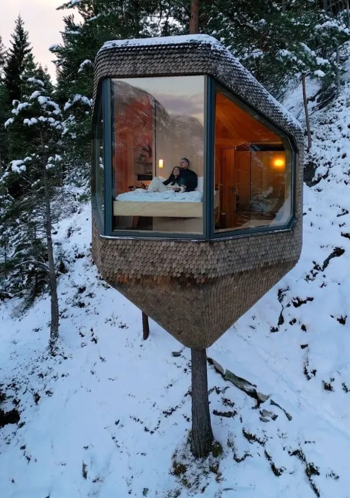 1acd6ddd1e7e8cd7a03fe54b1d5ddbf3 e1734509708911