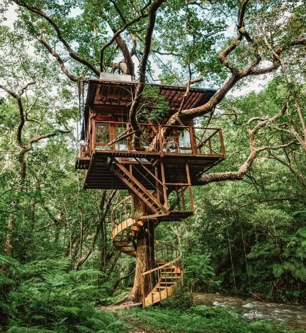 425088080 e1734508496169