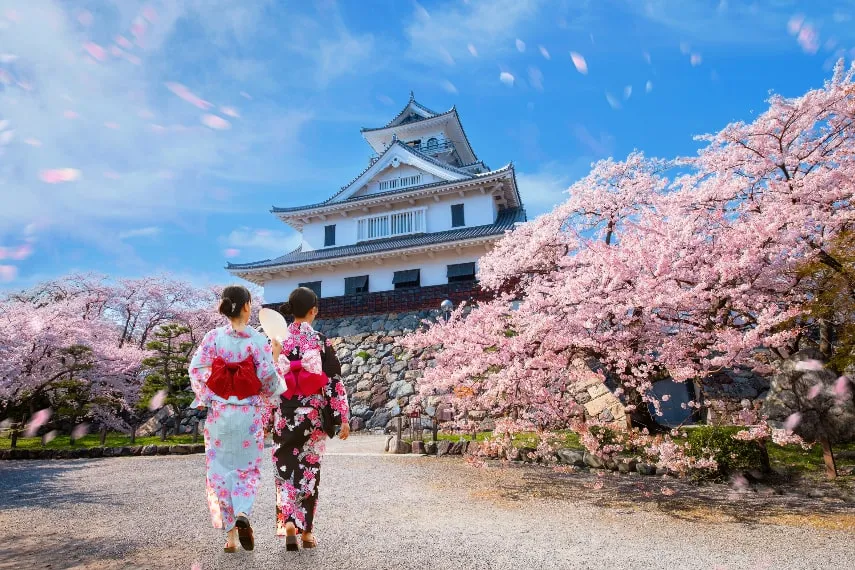 cherry blossom in japan full dates