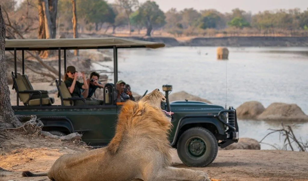 img 8 1 e1735239316593