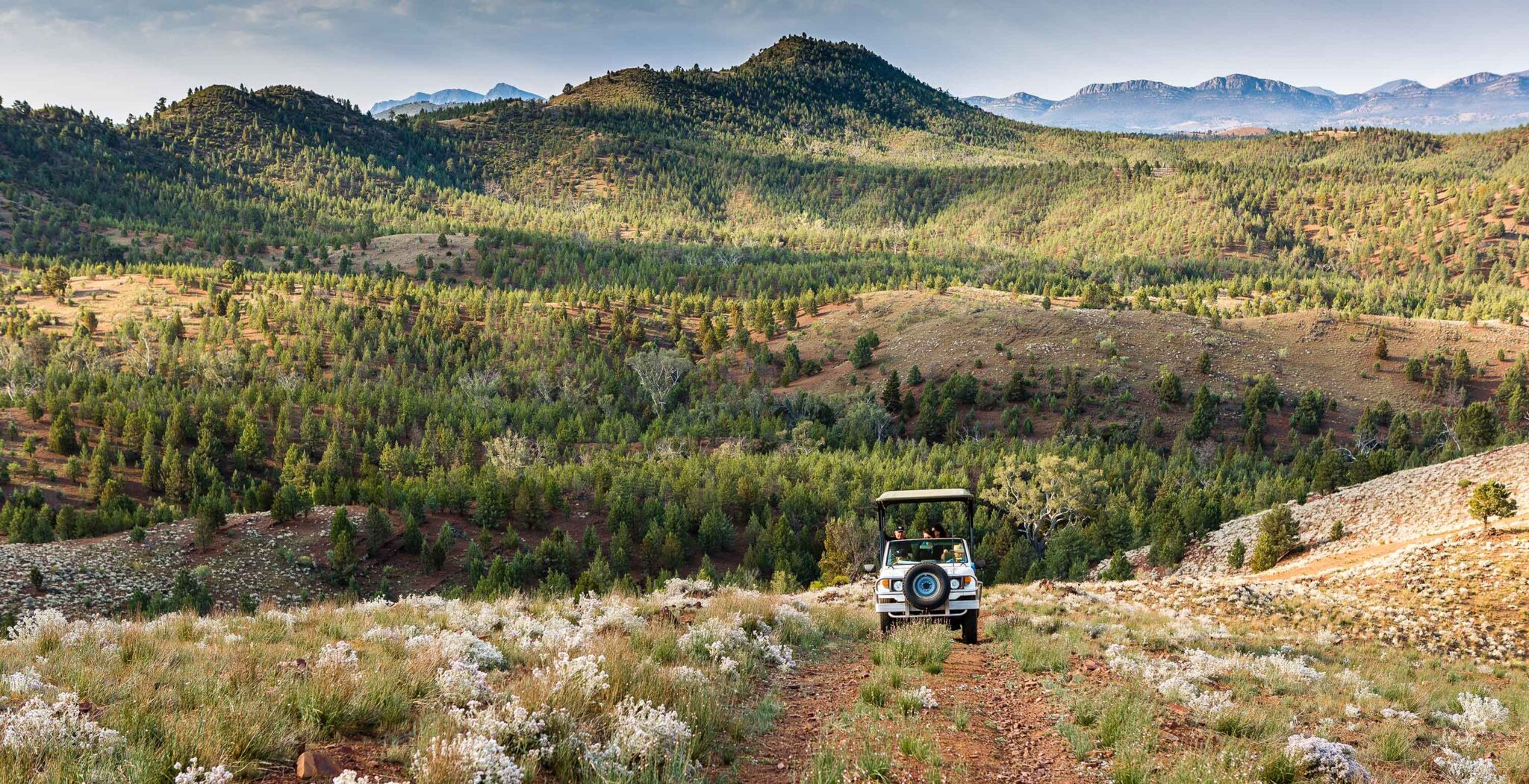 Arkaba Flinders Ranges 4WD PhotographySafari only 3000x1540px 2048x1051 1