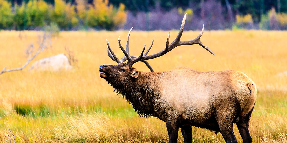 DY blogmar23 header1 min