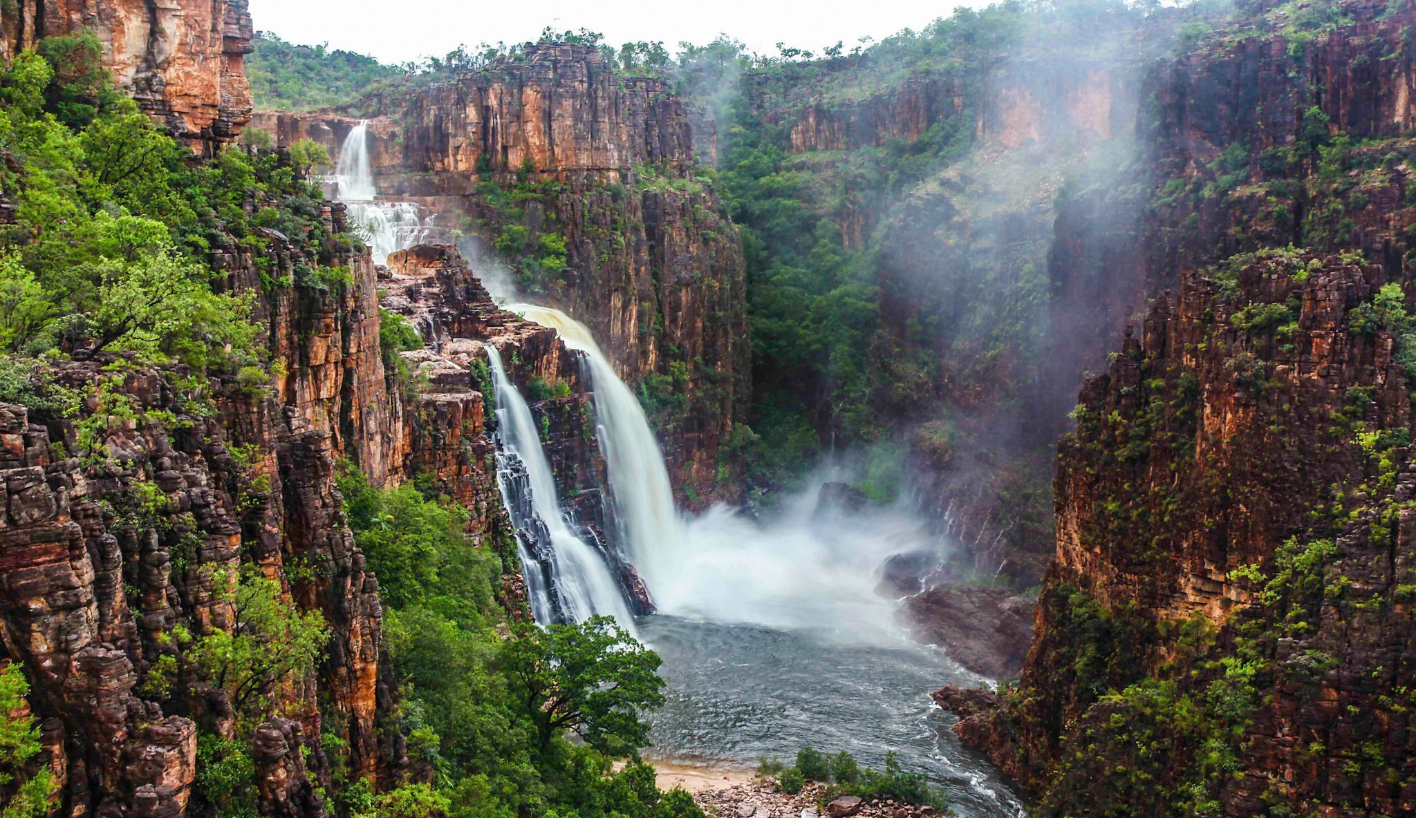 word image e1737526731567