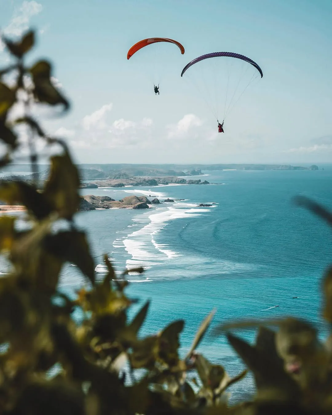 314730174 403069771917841 1025878411188346834 n