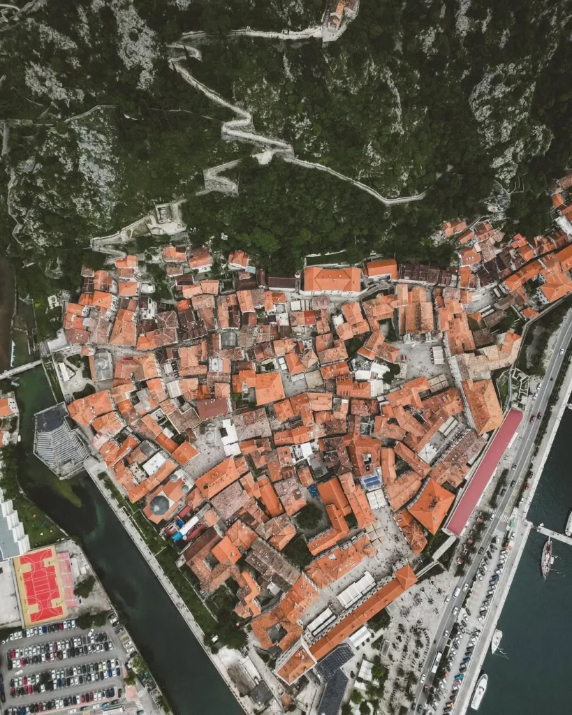 441575867 908355974308659 722259467429406983 n