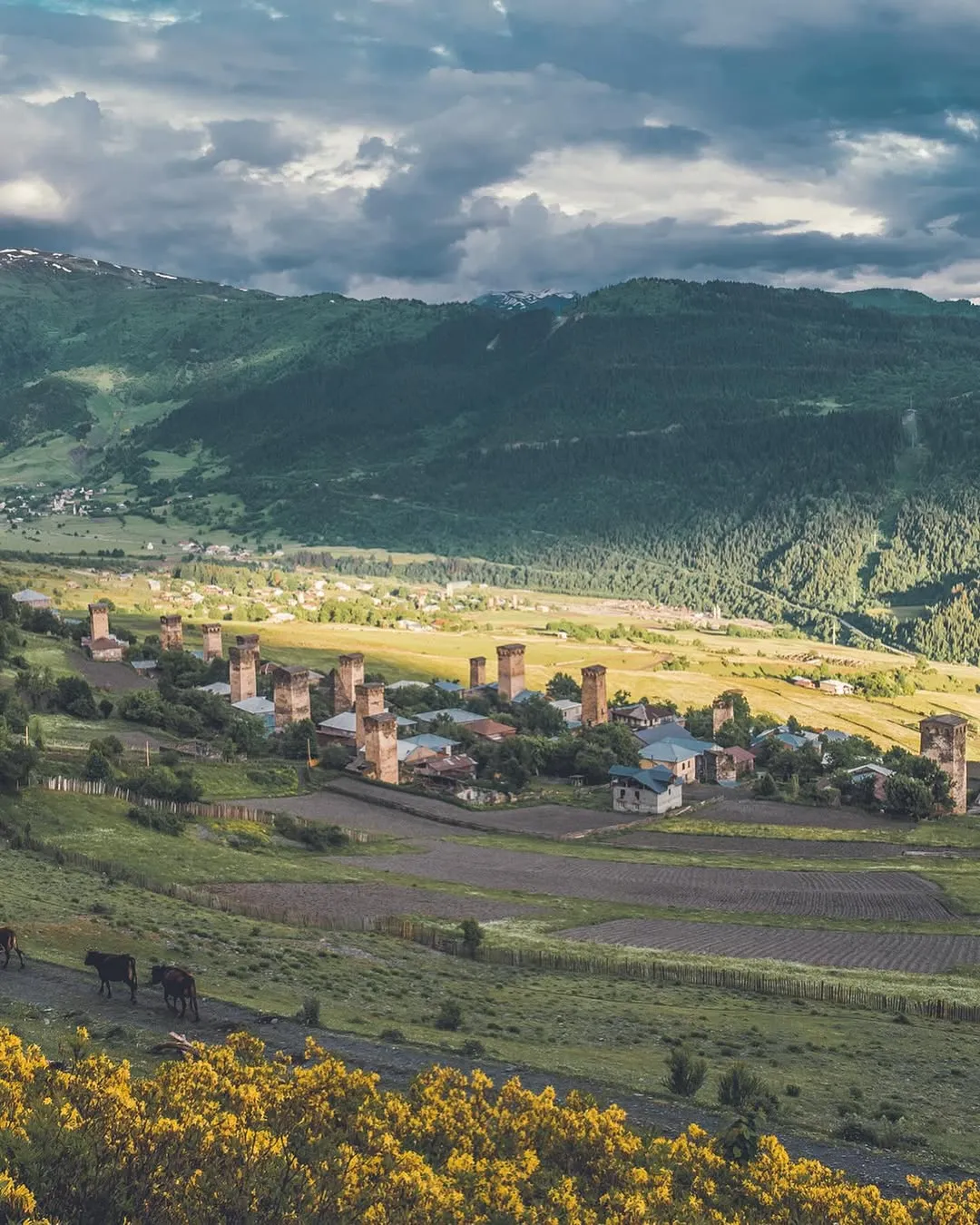 469985511 18130427431384232 2075250458435762560 n