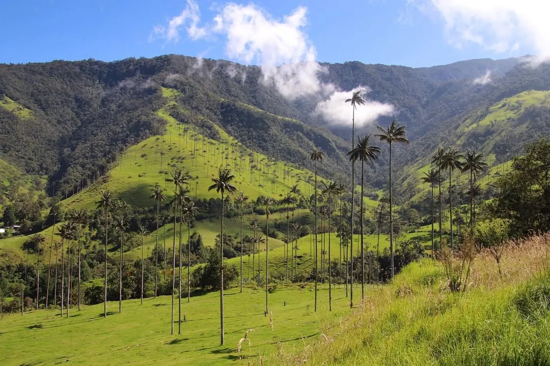 64230523 1382058551941184 7276507180573892817 n