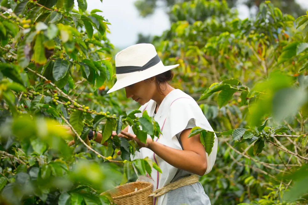 shutterstock 1965090946