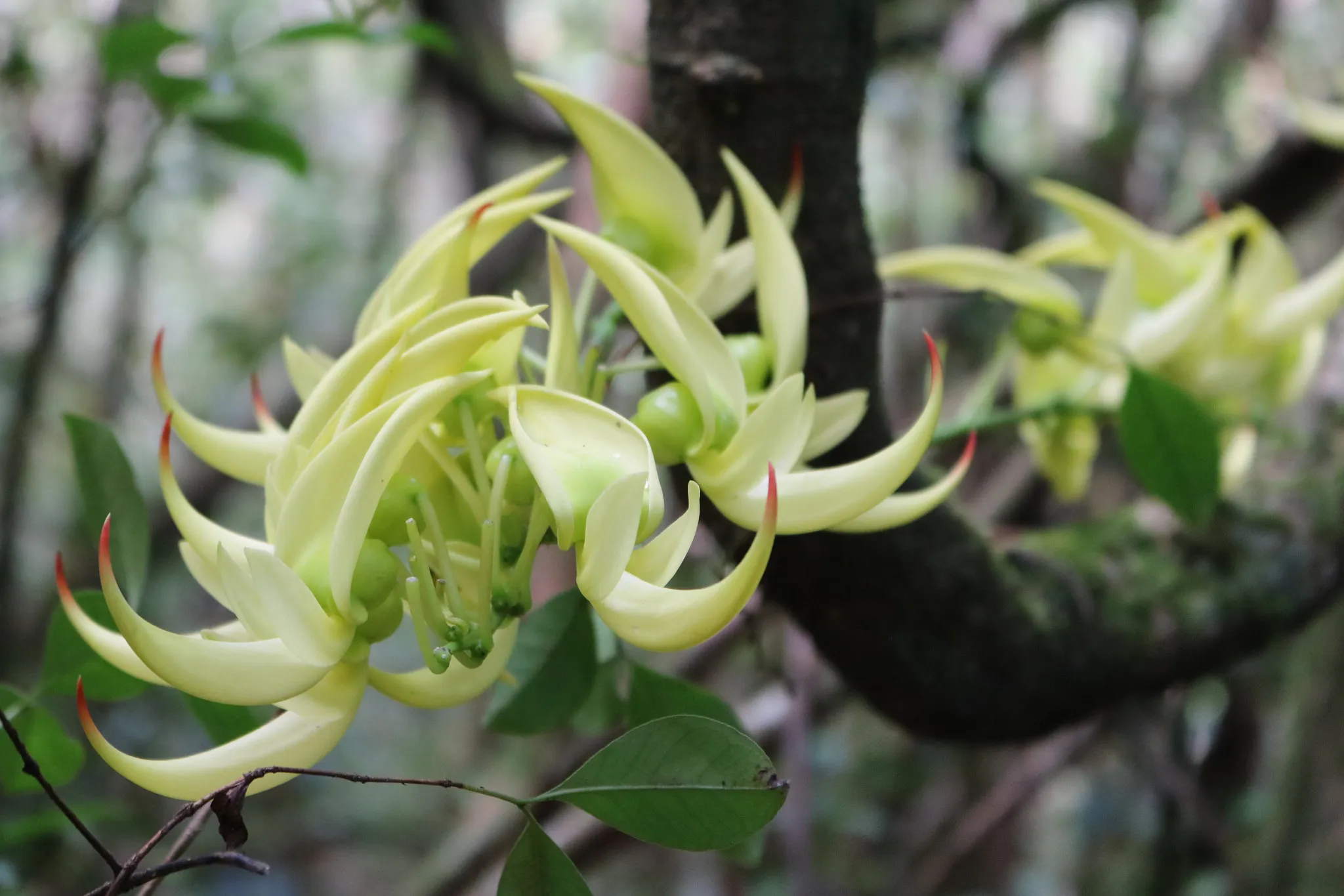 35333441801 b0e902239e k