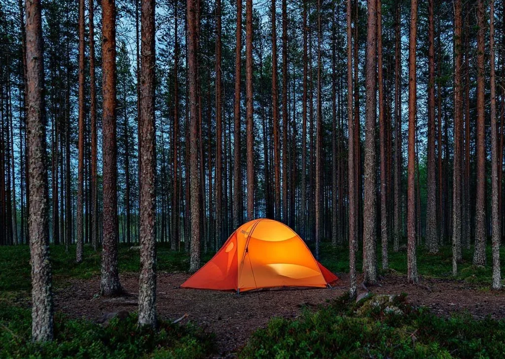 Finland Karelia Patvinsuo 2 e1741153618889