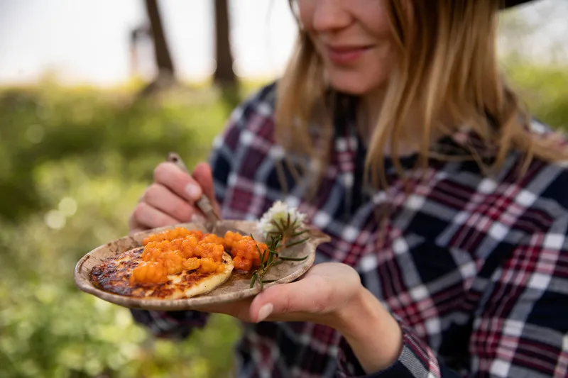 Finland Lapland Inari 4E5A8578