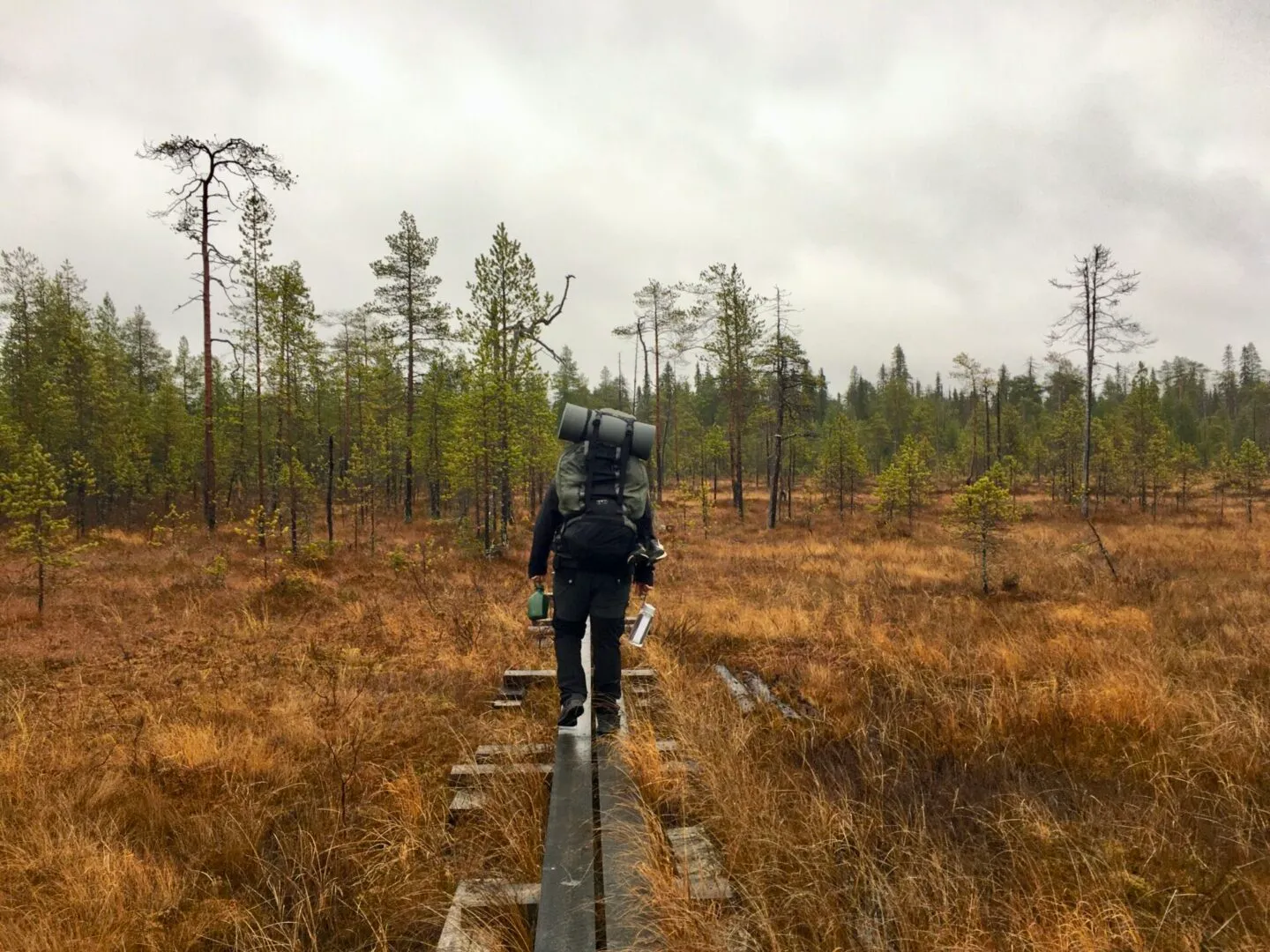 fullsizeoutput 6534 1440x1080 1 1