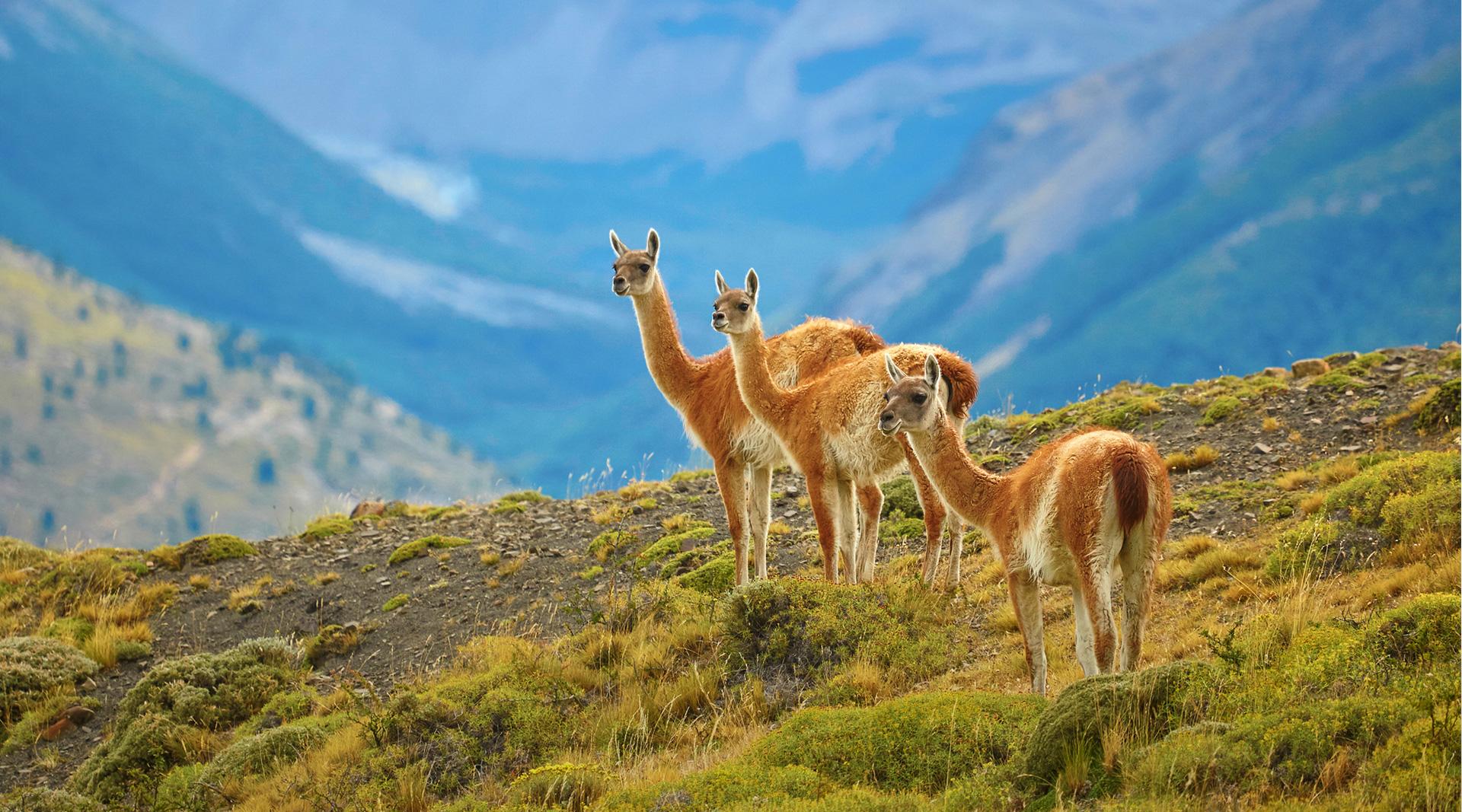 patagonia hero
