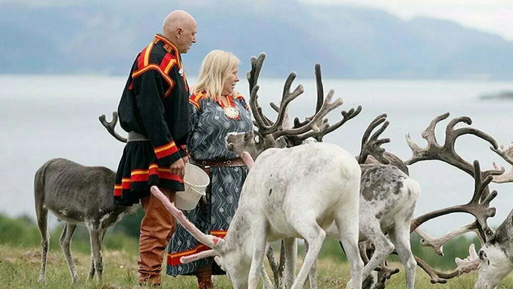 reindeer farm sami 1024x576 1
