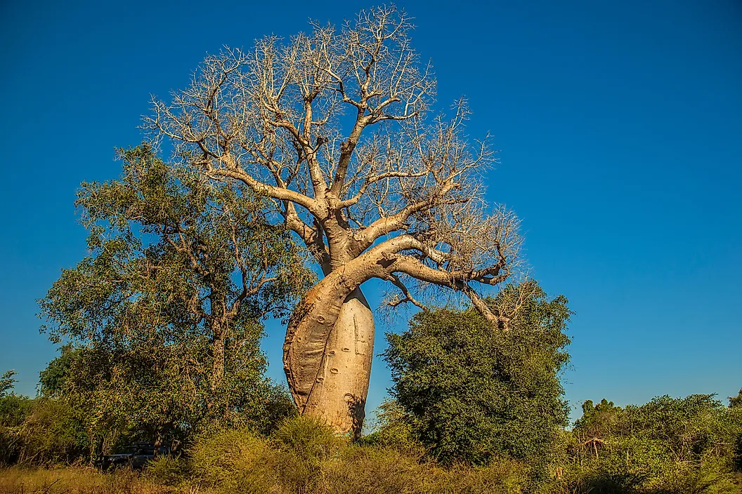 shutterstock 1191442447 1