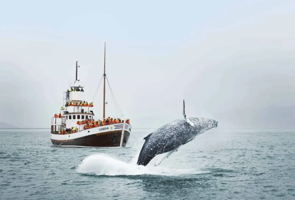 image 5 e1749208320262