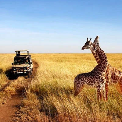 1.-Kenya