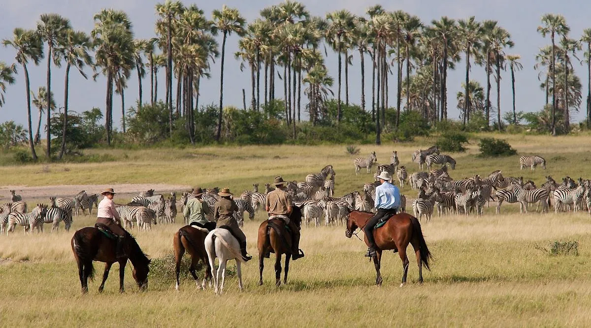 2.-Horseback-Adventure