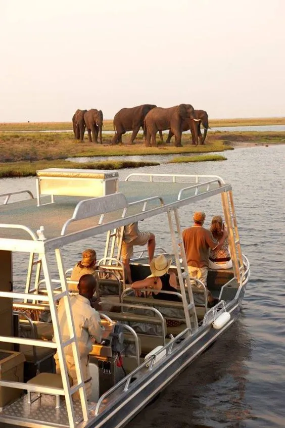 5.-Private-Chobe-River-Cruise