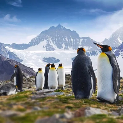8.-Antartica-2