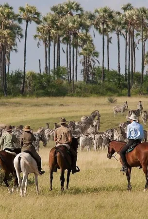 2.-Horseback-Adventure
