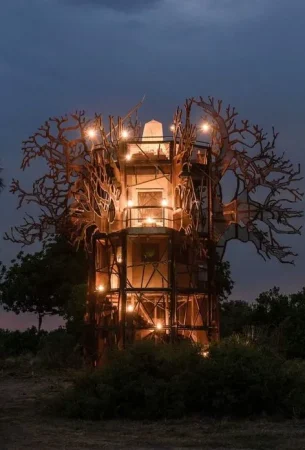 3.-Sundowner-on-a-Baobab-Treehouse